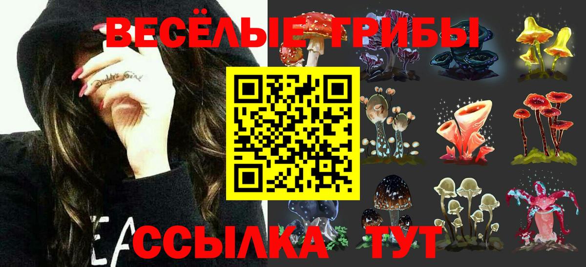 Галлюциногенные грибы прущие грибы Сегежа