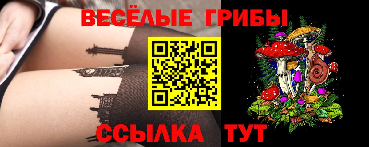 Галлюциногенные грибы Cubensis  Вход с VPN  купить наркоту  Псилоцибиновые грибы мицелий  Сегежа 